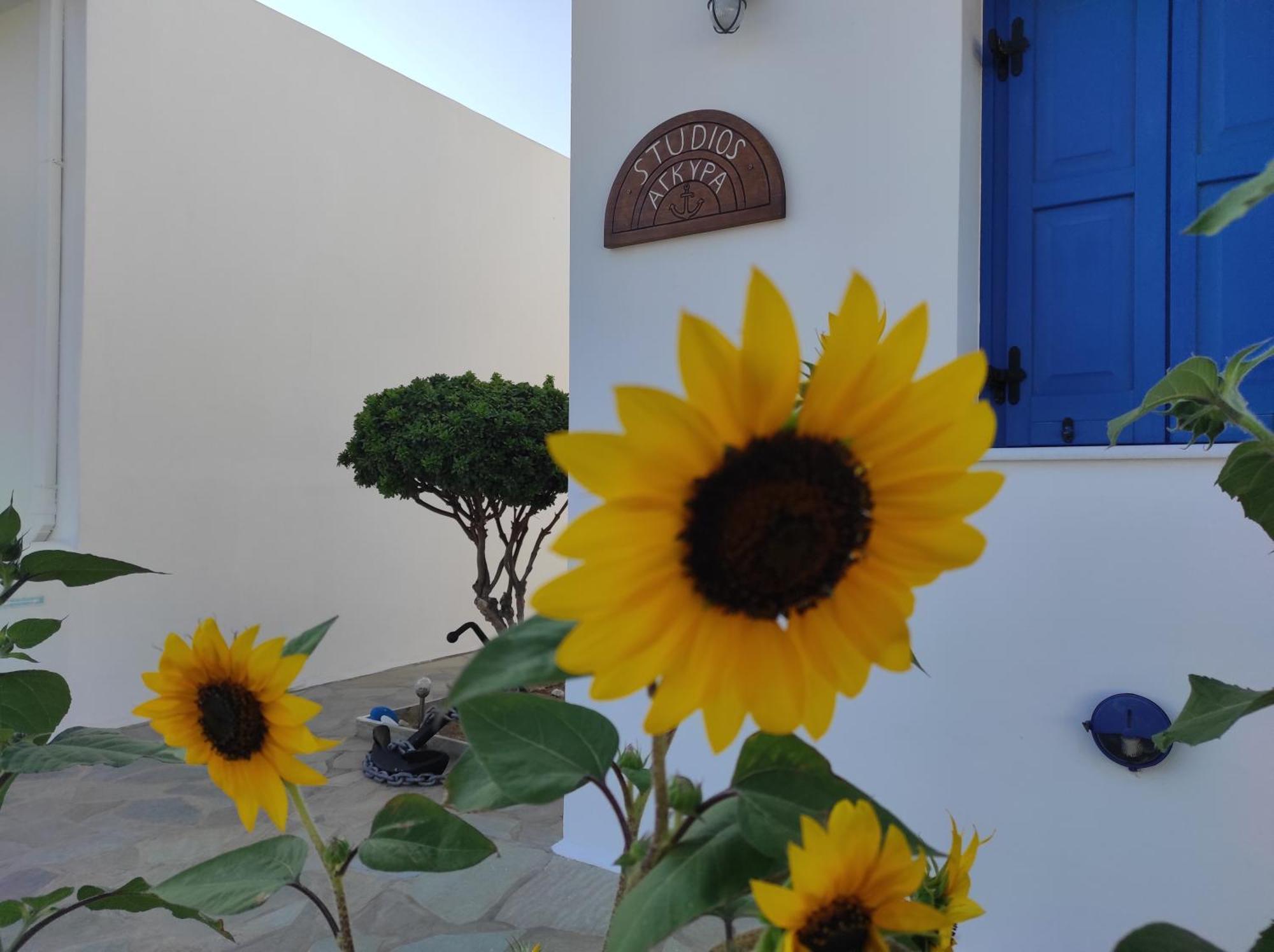 Studios Αγκυρα Livadi  Exterior photo
